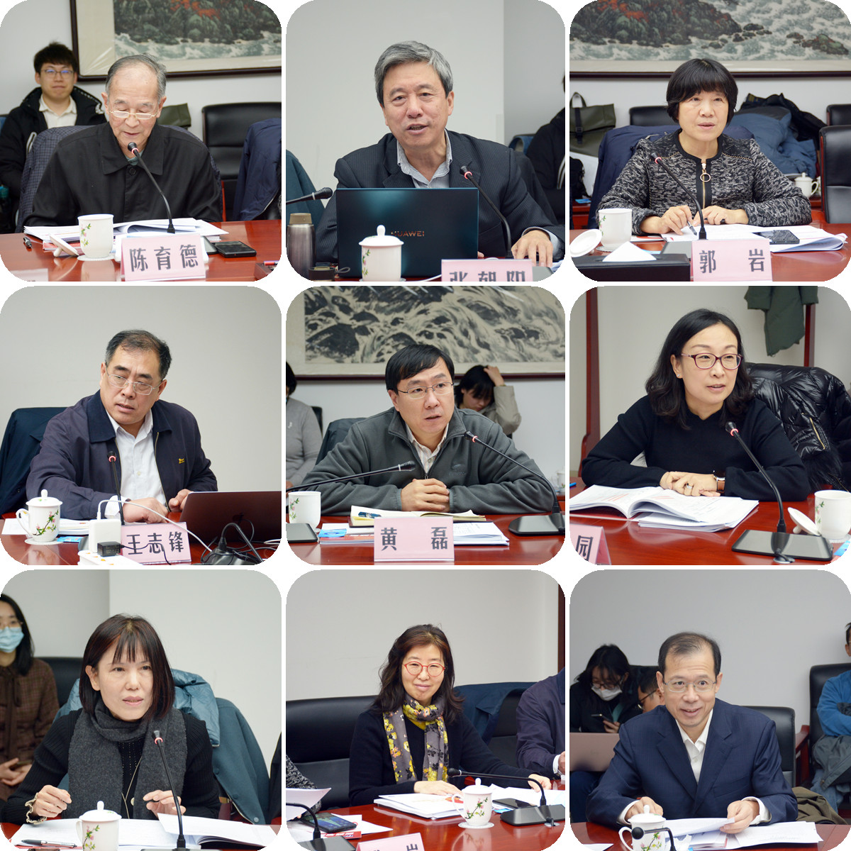 中盖PHC项目《中国基本卫生保健监测评价体系研究》结题报告会在京召开-2