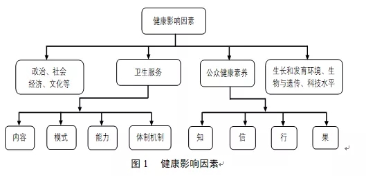 重点疾病人群健康管理设计理念及技术方案系列之一 —— 基于基本卫生保健的重点疾病人群健康管理模式构建-1